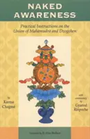 Conștiința goală: Instrucțiuni practice privind uniunea dintre Mahamudra și Dzogchen - Naked Awareness: Practical Instructions on the Union of Mahamudra and Dzogchen