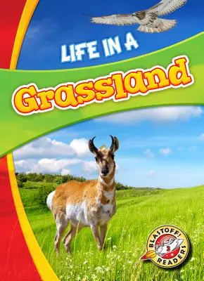 Viața într-o pășune - Life in a Grassland