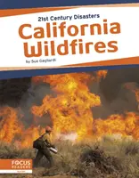 Incendiile de vegetație din California - California Wildfires