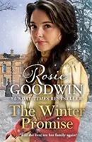 Winter Promise - De la autorul bestsellerului Sunday Times - Winter Promise - From the Sunday Times bestselling author
