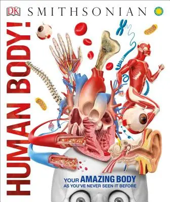 Corpul uman! - Human Body!