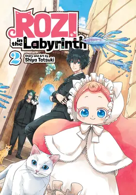 Rozi în labirint Vol. 2 - Rozi in the Labyrinth Vol. 2