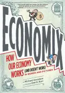 Economix: Cum funcționează (și cum nu funcționează) economia noastră, în cuvinte și imagini - Economix: How Our Economy Works (and Doesn't Work), in Words and Pictures