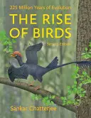 Ascensiunea păsărilor: 225 de milioane de ani de evoluție - The Rise of Birds: 225 Million Years of Evolution