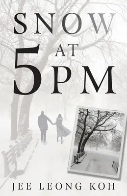 Zăpadă la 5 PM: Traduceri ale unui poet japonez nesemnificativ - Snow at 5 PM: Translations of an Insignificant Japanese Poet