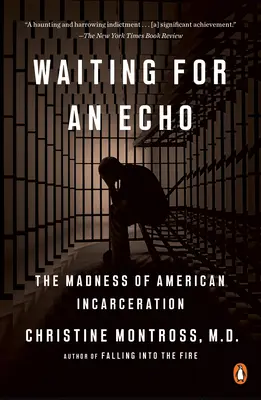 Waiting for an Echo: Nebunia încarcerării americane (The Madness of American Incarceration) - Waiting for an Echo: The Madness of American Incarceration