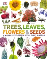 Lumea noastră în imagini: Copaci, frunze, flori și semințe - Our World in Pictures: Trees, Leaves, Flowers & Seeds