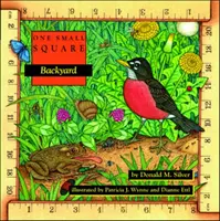 Curtea din spate - Backyard