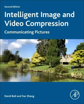 Compresia inteligentă a imaginilor și clipurilor video: Comunicarea imaginilor - Intelligent Image and Video Compression: Communicating Pictures