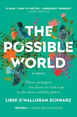 Lumea posibilă - The Possible World