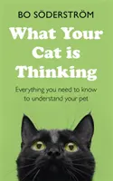 Ce gândește pisica ta - What Your Cat Is Thinking
