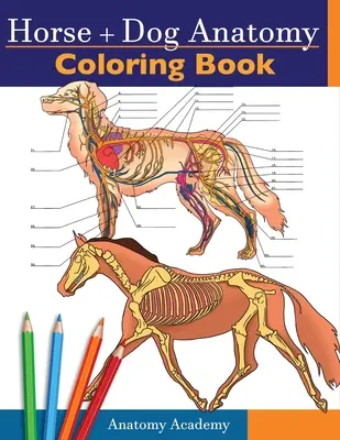 Cartea de colorat a anatomiei calului + câinelui: Compilarea 2-in-1 incredibil de detaliată a autotestelor de anatomie ecvină și canină Carte de lucru colorată Cadou perfect pentru veterinar - Horse + Dog Anatomy Coloring Book: 2-in-1 Compilation Incredibly Detailed Self-Test Equine & Canine Anatomy Color workbook Perfect Gift for Veterinary