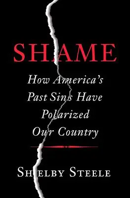 Rușine: Cum păcatele din trecut ale Americii au polarizat țara noastră - Shame: How America's Past Sins Have Polarized Our Country