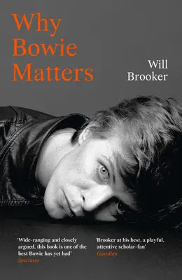De ce Bowie contează - Why Bowie Matters