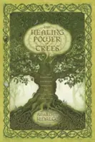 Puterea vindecătoare a arborilor: Călătorii spirituale prin calendarul celtic al arborilor - The Healing Power of Trees: Spiritual Journeys Through the Celtic Tree Calendar