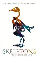 Scheletele: Cadrul vieții - Skeletons: The Frame of Life