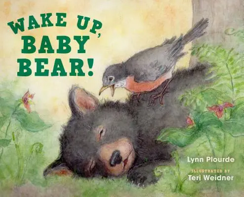 Trezește-te, Ursulețule! - Wake Up, Baby Bear!