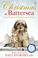 Crăciun la Battersea: Povești adevărate de miracole și speranță - Christmas at Battersea: True Stories of Miracles and Hope
