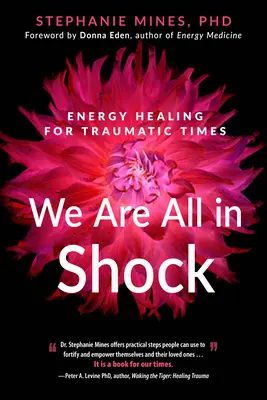 Suntem cu toții în stare de șoc: Vindecarea energetică pentru perioade traumatice - We Are All in Shock: Energy Healing for Traumatic Times