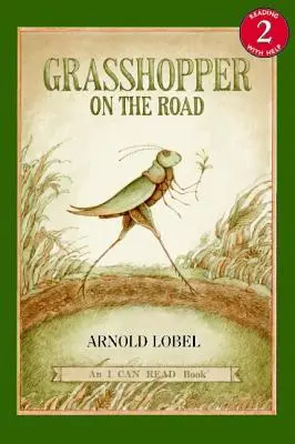 Lăcustă pe drum - Grasshopper on the Road