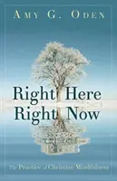Chiar aici, chiar acum: Practica atenției creștine - Right Here Right Now: The Practice of Christian Mindfulness