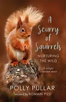 Scurry of Squirrels - Îngrijirea naturii sălbatice - Scurry of Squirrels - Nurturing The Wild