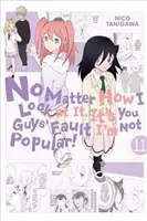 Nu contează cum mă uit, e vina voastră că nu sunt popular!, Vol. 11 - No Matter How I Look at It, It's You Guys' Fault I'm Not Popular!, Vol. 11