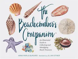 The Beachcomber's Companion: An Illustrated Guide to Collecting and Identifying Beach Treasures (Watercolor Seashell and Shell Collecting Book, Bea