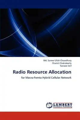 Alocarea resurselor radio - Radio Resource Allocation