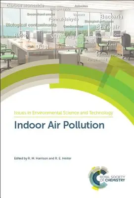 Poluarea aerului interior - Indoor Air Pollution
