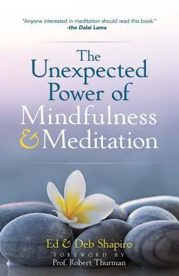 Puterea neașteptată a atenției conștiente și a meditației - The Unexpected Power of Mindfulness and Meditation