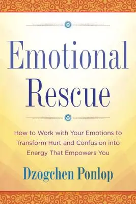 Salvarea emoțională: Cum să lucrezi cu emoțiile tale pentru a transforma durerea și confuzia în energie care te împuternicește - Emotional Rescue: How to Work with Your Emotions to Transform Hurt and Confusion Into Energy That Empowers You