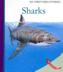 Rechini - Sharks