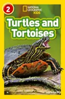 Țestoase și broaște țestoase - Nivelul 2 - Turtles and Tortoises - Level 2