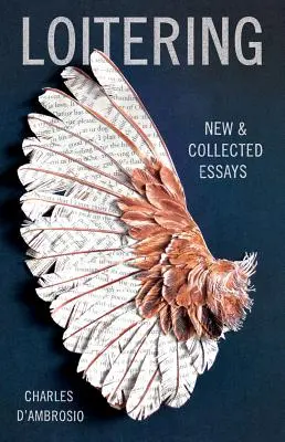 Loitering: Eseuri noi și colecționate - Loitering: New and Collected Essays