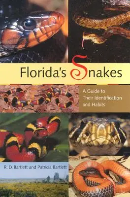 Florida's Snakes: Ghid pentru identificarea și obiceiurile lor - Florida's Snakes: A Guide to Their Identification and Habits