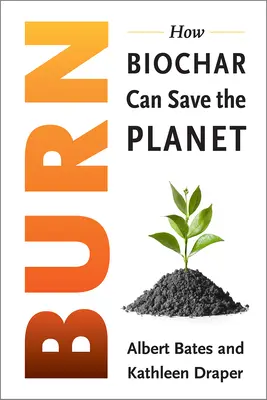 Burn: Igniting a New Carbon Drawdown Economy to End the Climate Crisis