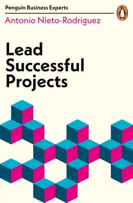 Conducerea proiectelor de succes - Lead Successful Projects