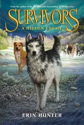 Un dușman ascuns - A Hidden Enemy