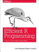 Programare R eficientă: Un ghid practic pentru o programare mai inteligentă - Efficient R Programming: A Practical Guide to Smarter Programming