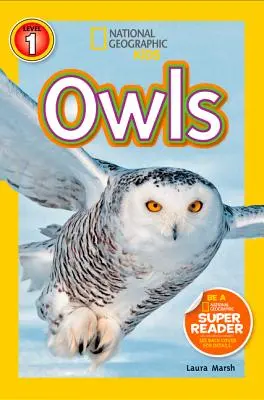 Bufnițe - Owls