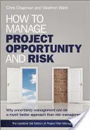 Cum să gestionăm oportunitatea proiectului - How to Manage Project Opportun