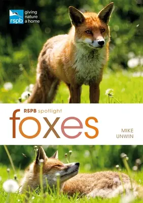 Rspb Spotlight: Vulpi - Rspb Spotlight: Foxes