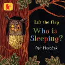 Cine doarme? - Who Is Sleeping?