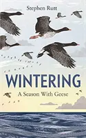 Iernatul: Un sezon cu gâște - Wintering: A Season with Geese