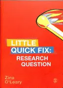 Întrebarea de cercetare: Little Quick Fix - Research Question: Little Quick Fix