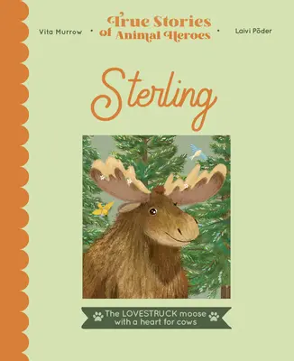 Sterling: Elanul îndrăgostit cu o inimă pentru vaci - Sterling: The Lovestruck Moose with a Heart for Cows