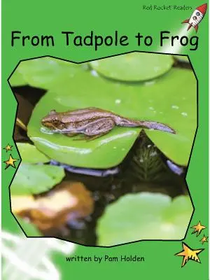 Red Rocket Readers - Early Level 4 Non-Fiction Set C: From Tadpole to Frog Big Book Edition
