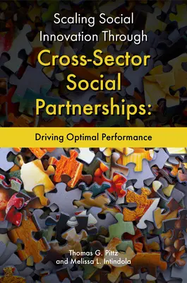 Scalarea inovării sociale prin parteneriate sociale intersectoriale: Promovarea unei performanțe optime - Scaling Social Innovation Through Cross-Sector Social Partnerships: Driving Optimal Performance