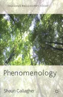Fenomenologie - Phenomenology